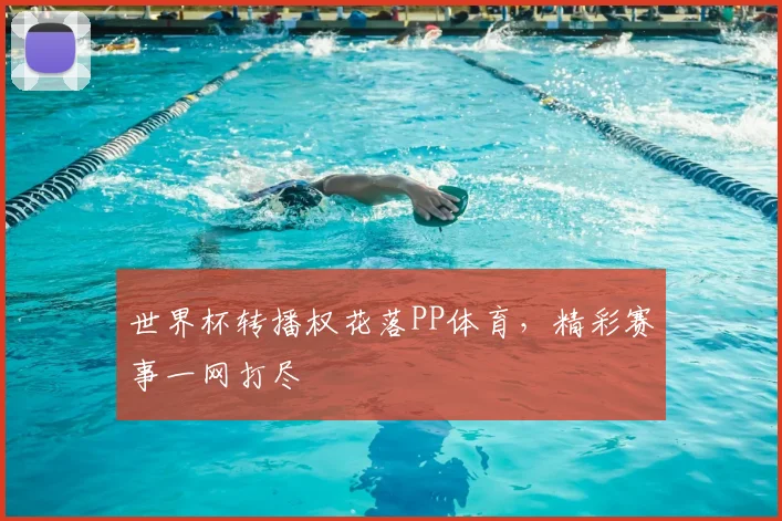 世界杯转播权花落PP体育,精彩赛事一网打尽
