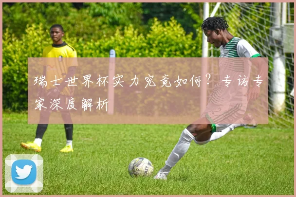 瑞士世界杯实力究竟如何?专访专家深度解析