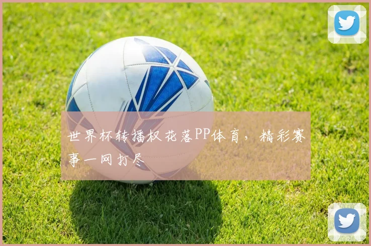 世界杯转播权花落PP体育,精彩赛事一网打尽