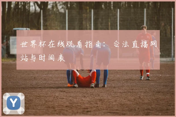 世界杯在线观看指南:合法直播网站与时间表