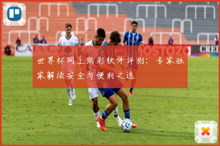 世界杯网上购彩软件评测：专家独家解读安全与便利之选
